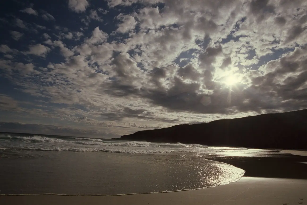 Sandfly Bay, Otago Peninsula, New Zealand