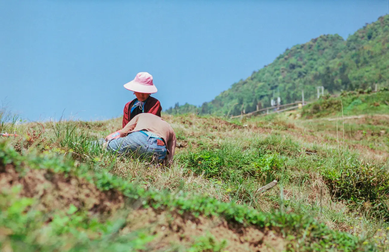 A couple of farmers working on the rice terraces at Jiabang