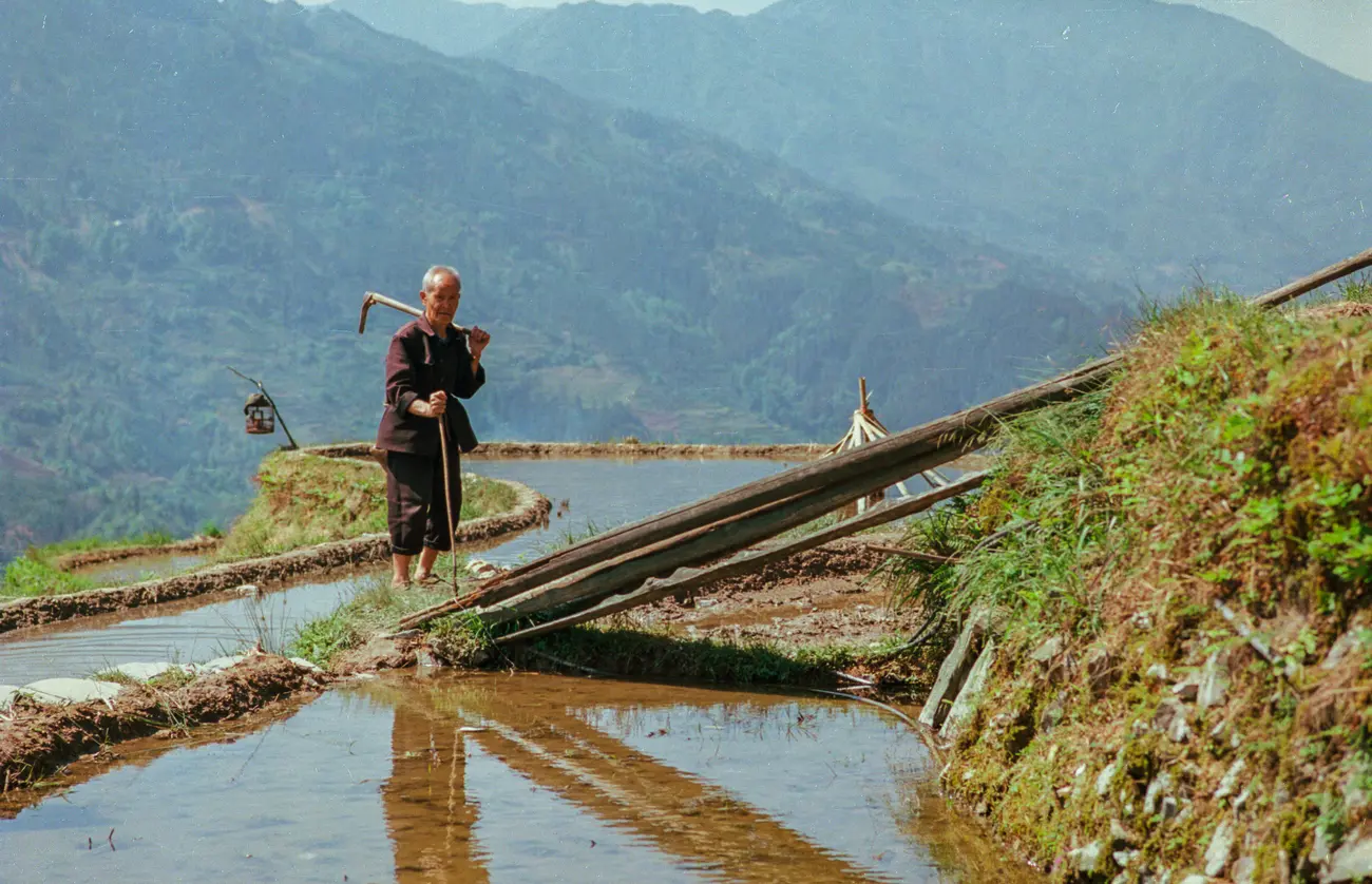 A farmer on rice terraces in Guizhou