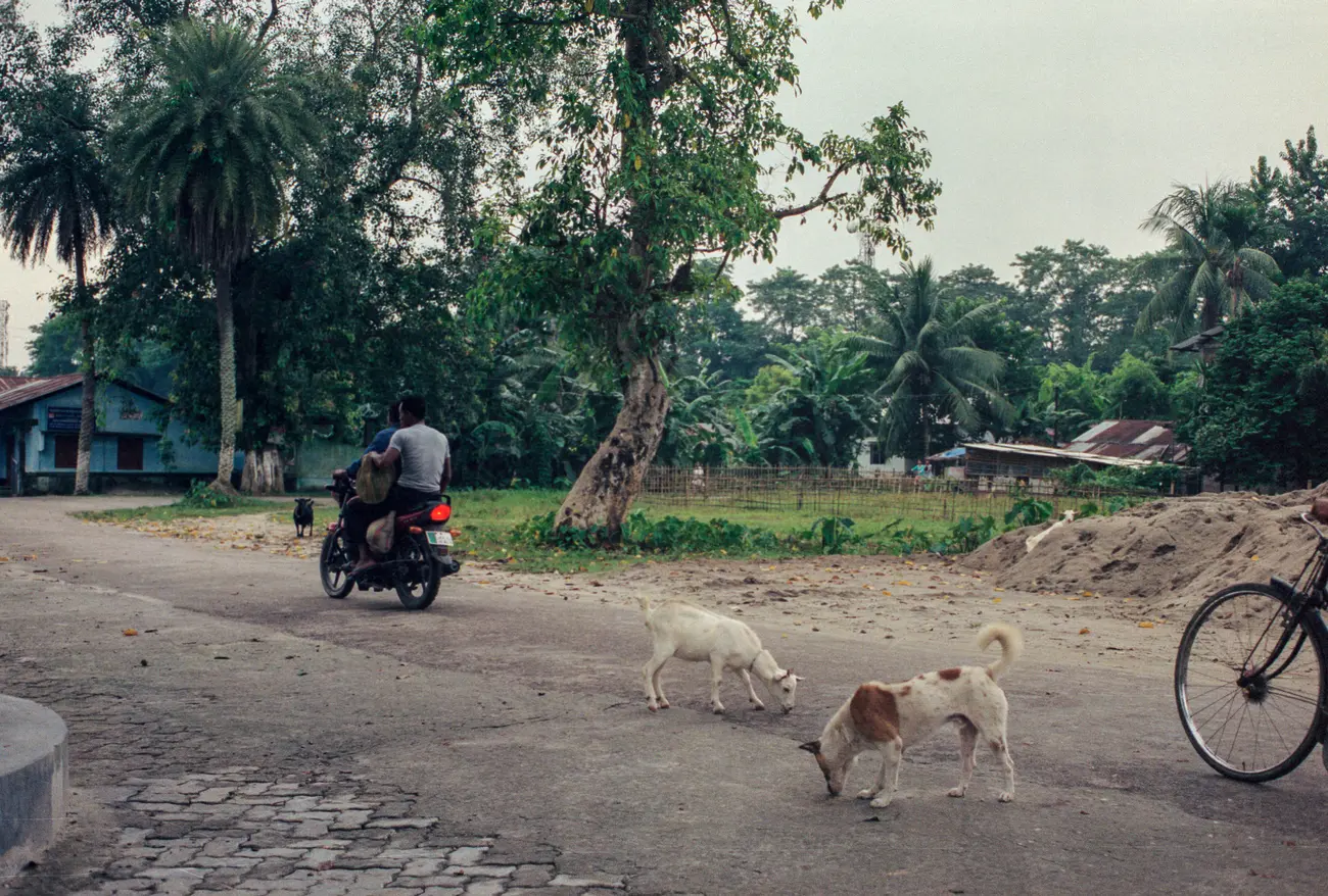 Majuli Island