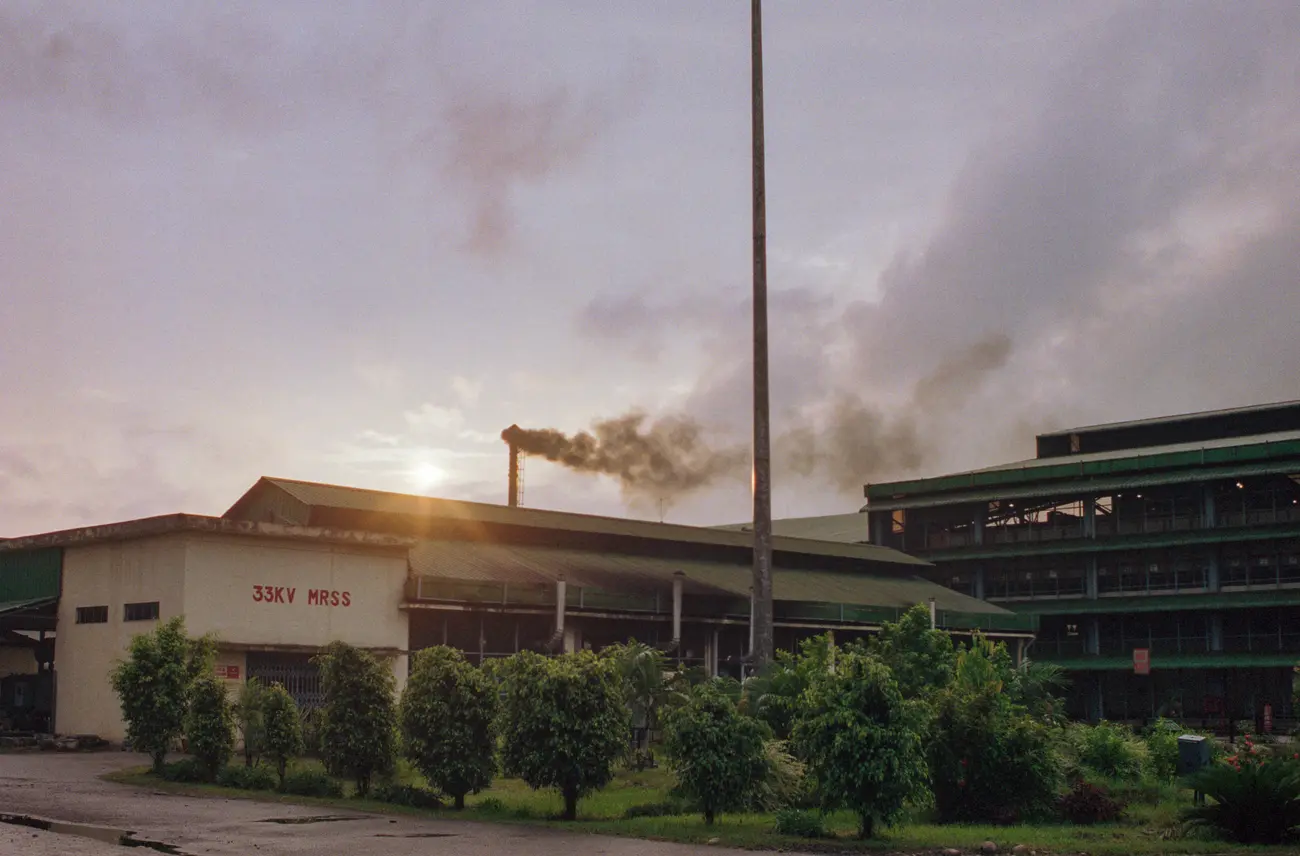 A modern tea processing plant