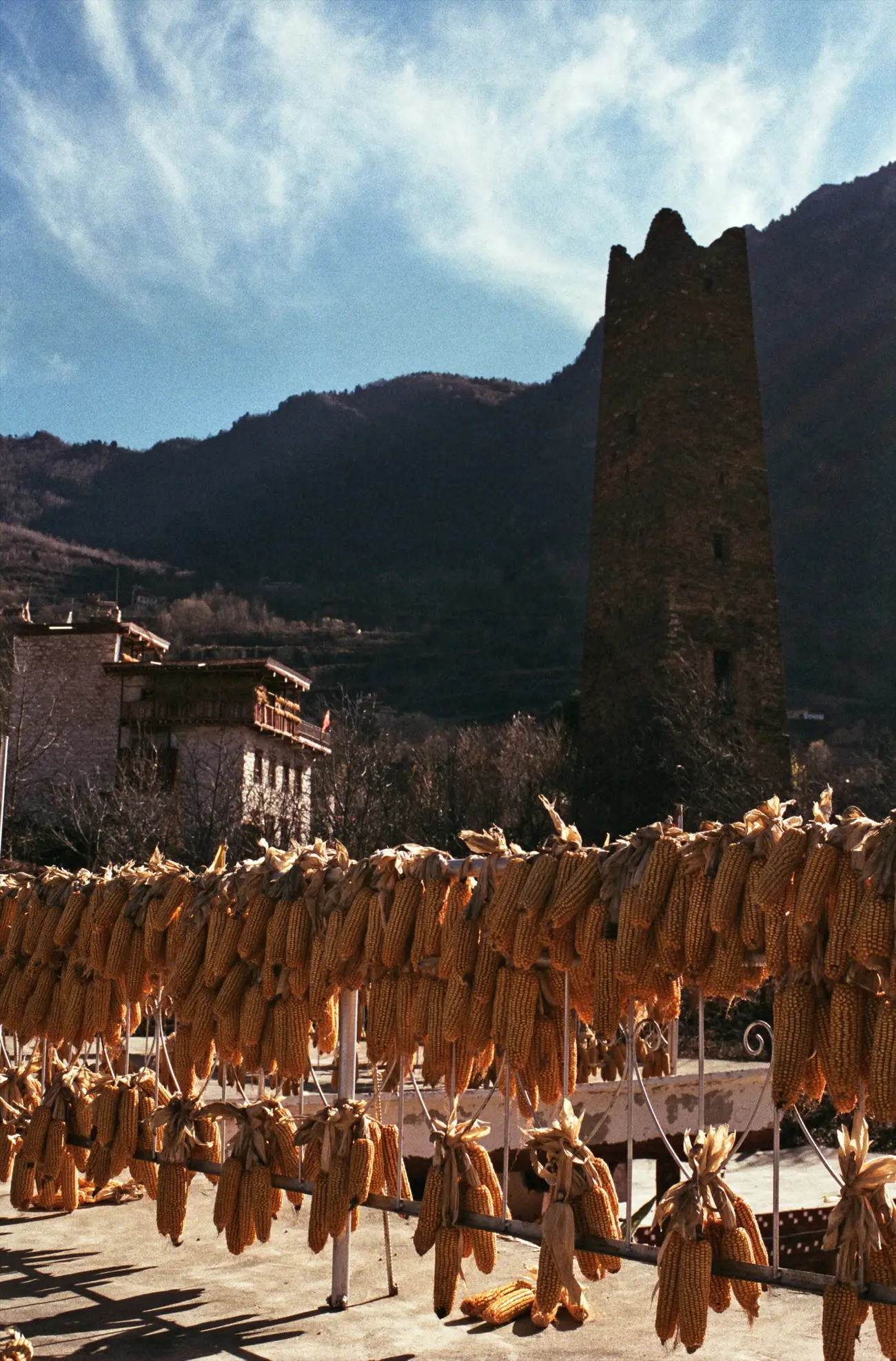 Corn cobs dry quickly on the rooftop balconies under the harsh mountain sun.