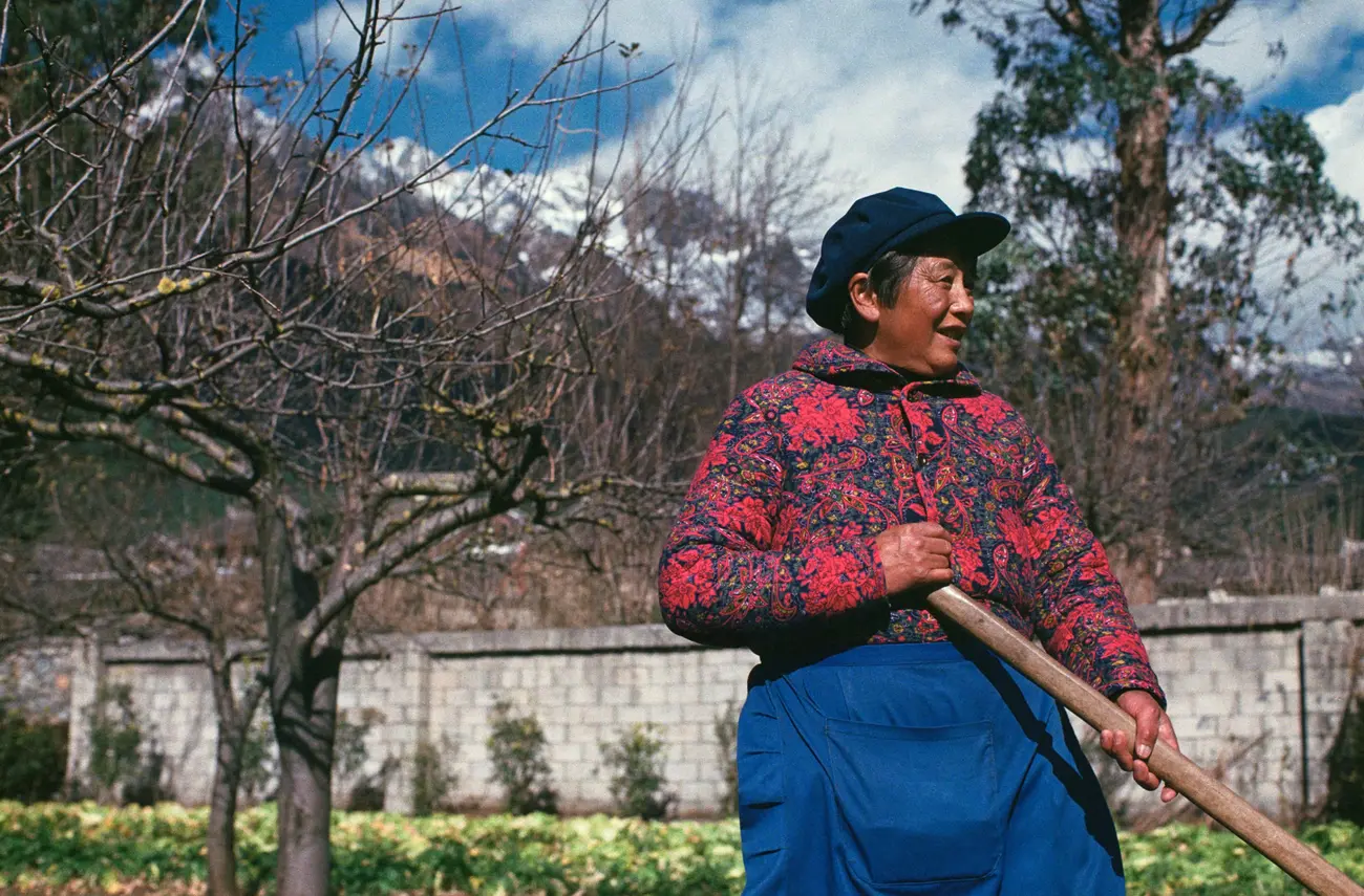 Li nainai tends to the fruit and vegetable garden behind her house.