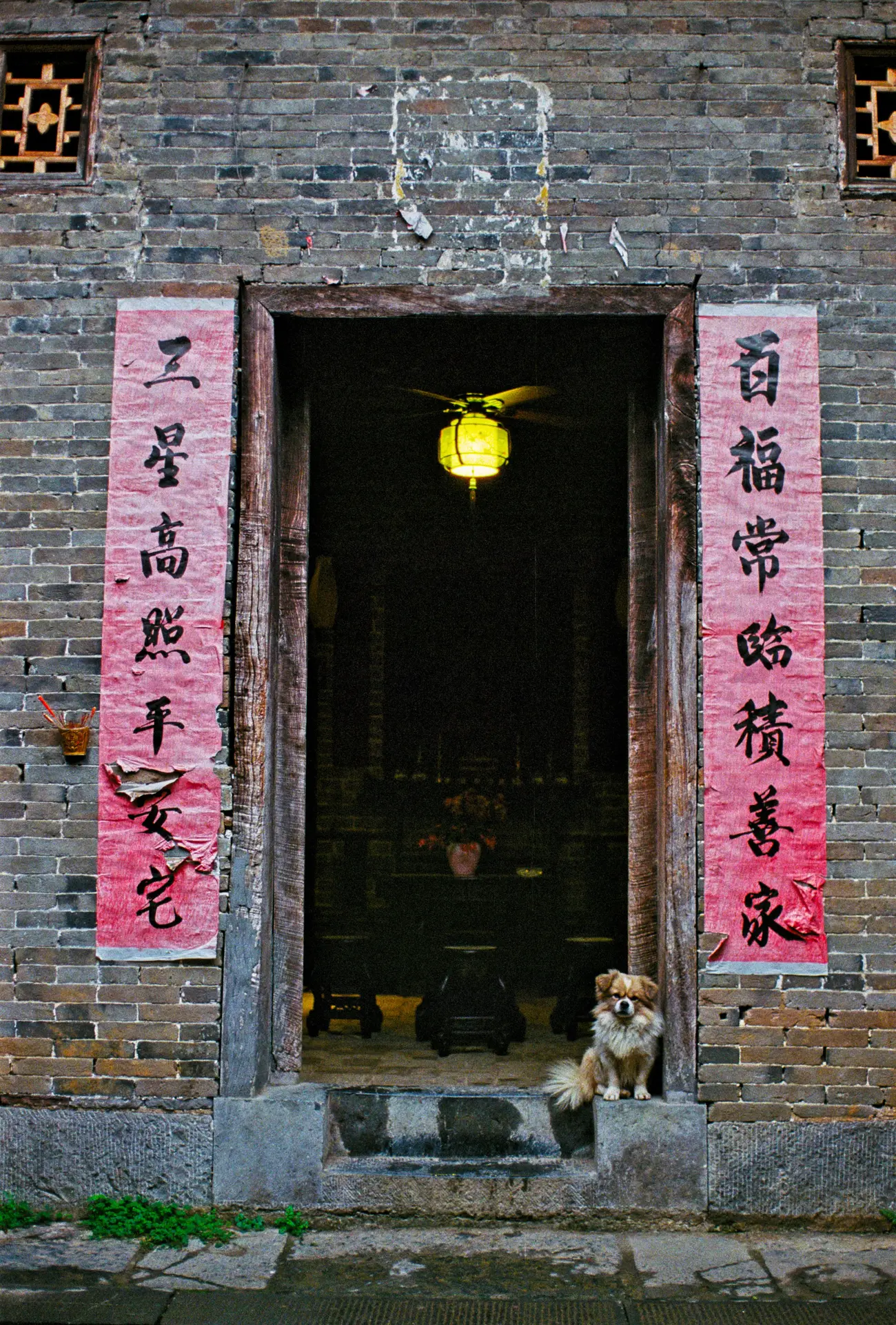 Mama dog resting at our guesthouse doorway.