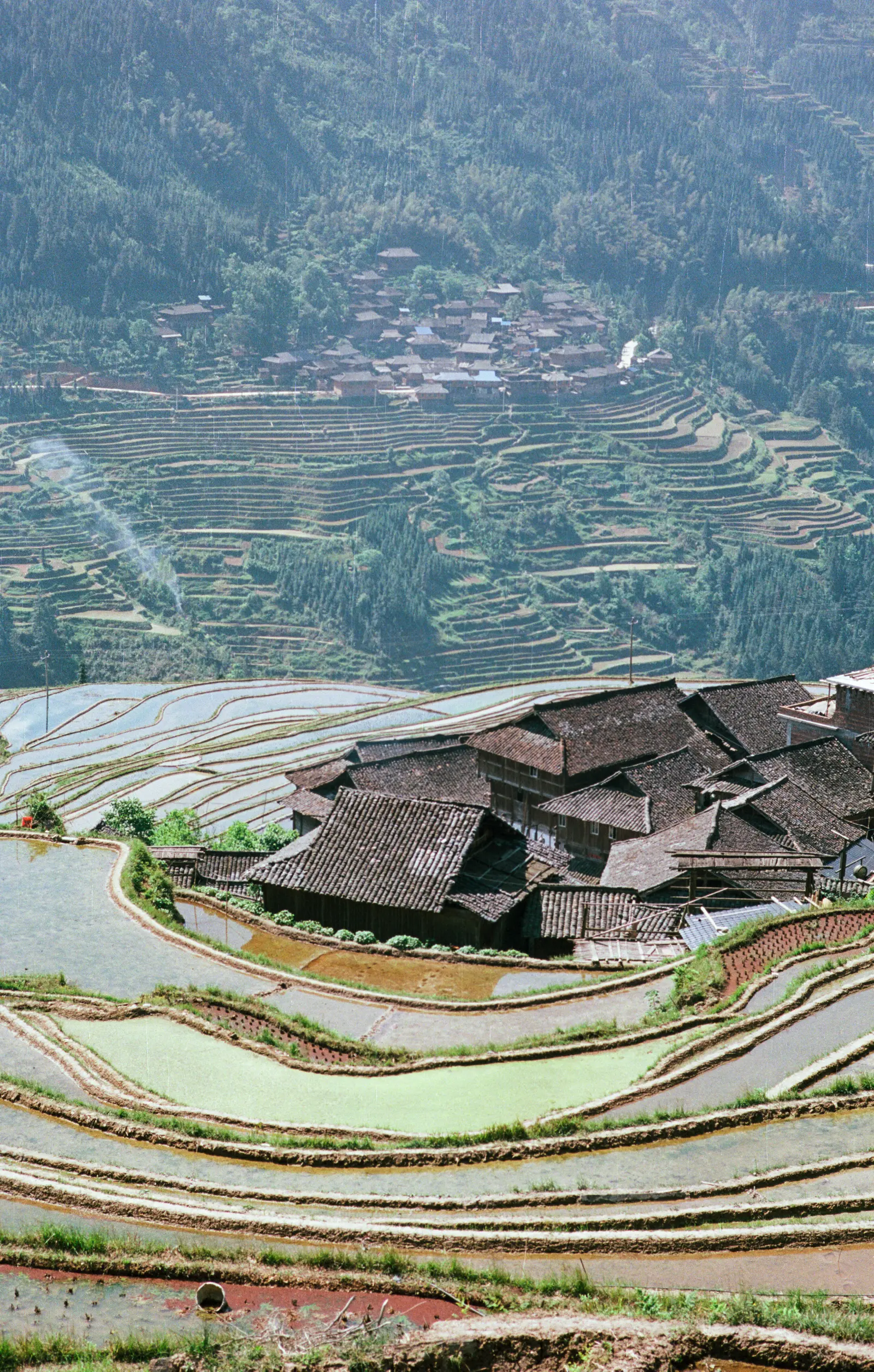 Mesmerising rice paddies at Jiabang