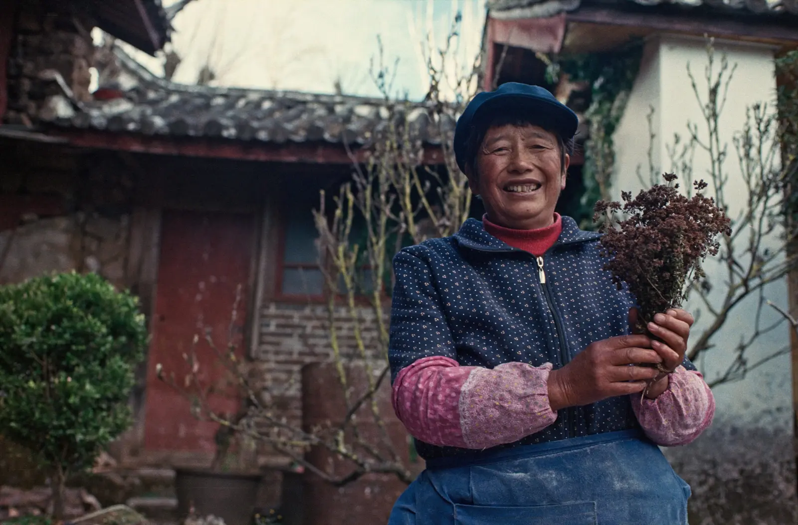 Grandma Li of Yuhu village shows off what she calls 'wild mint' (oregano).